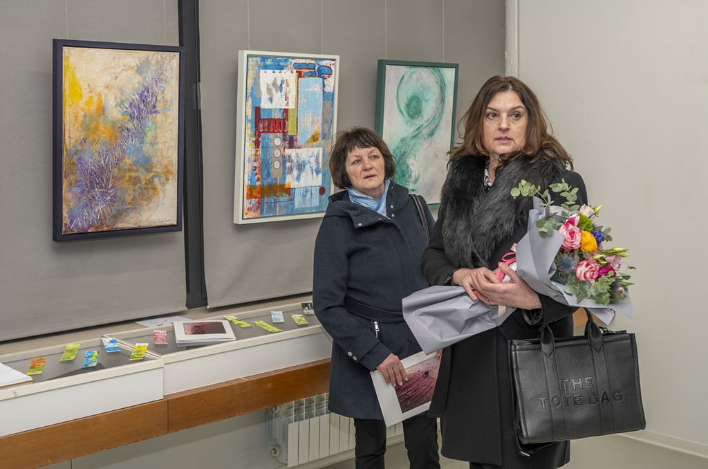 izozba knjiznica diana sare (6)