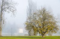 jesen karlovac magla korana (2)