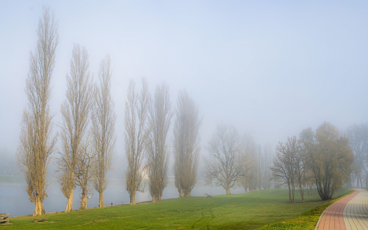 jesen karlovac magla korana (3)