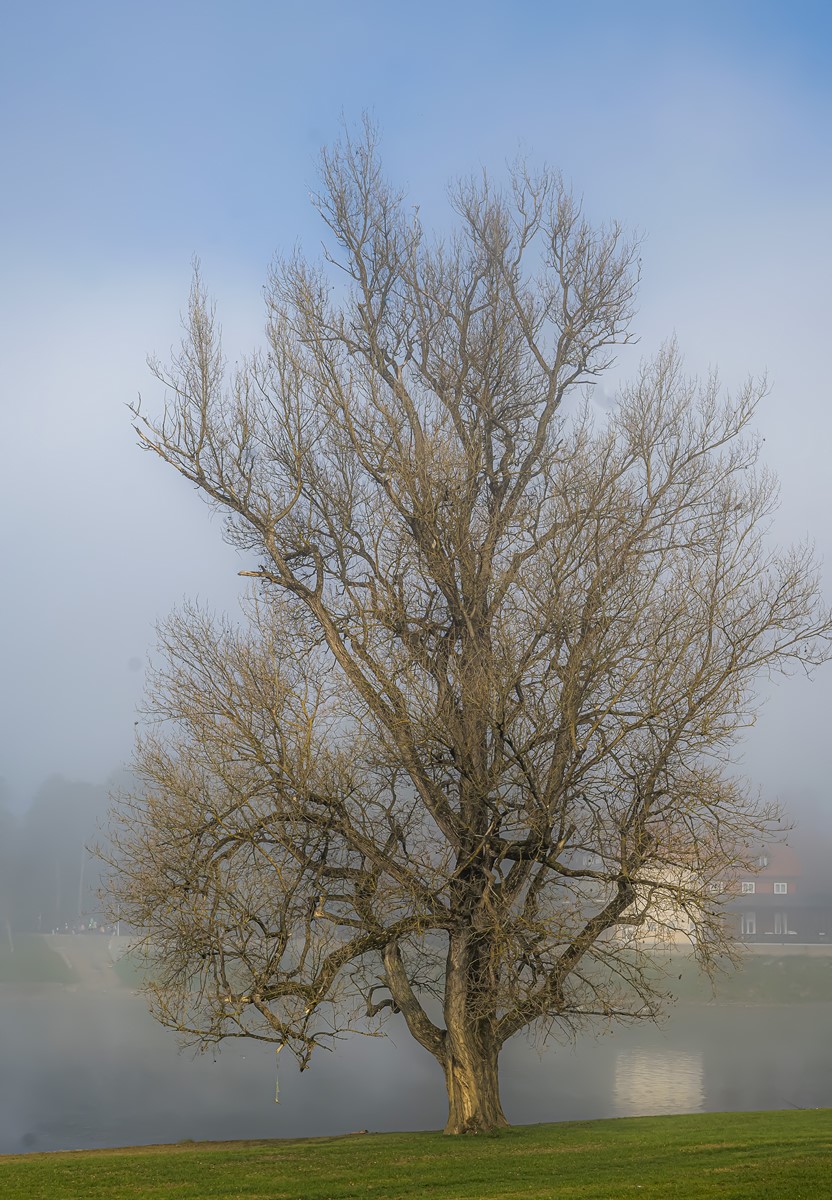 jesen karlovac magla korana (5)