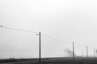 jesen karlovac magla korana (6)