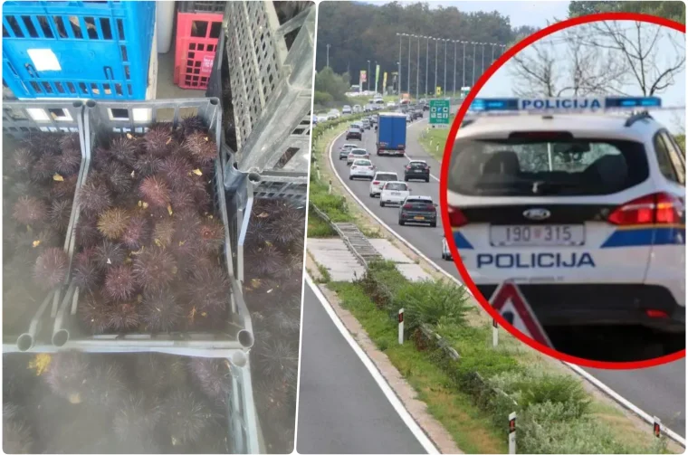 jez policija autocesta