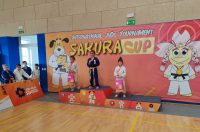 judo7
