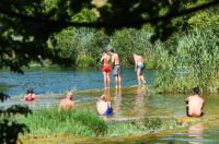 jungle bar mreznica (14)