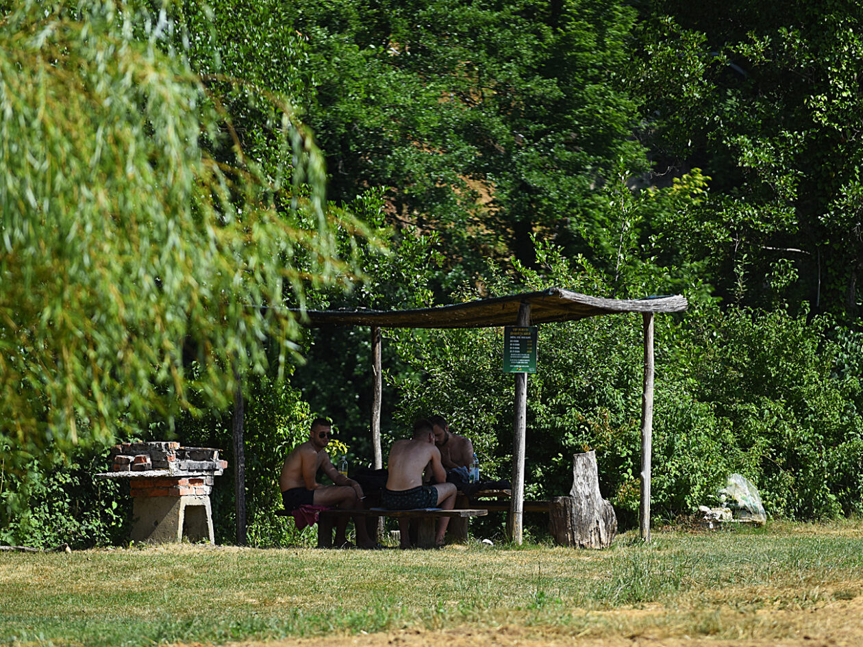 jungle bar mreznica (17)