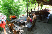 jungle bar mreznica (2)
