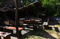 jungle bar mreznica (26)