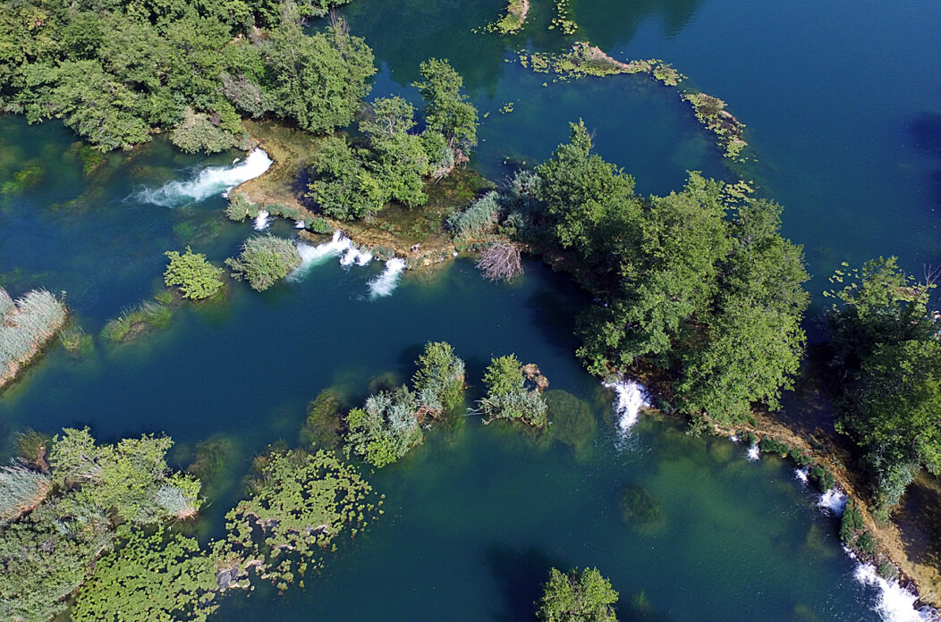 jungle bar mreznica (34)