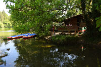 jungle bar mreznica (8)