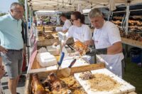 kamensko velika gospa (12) kamensko velika gospa (12)