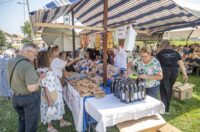 kamensko velika gospa (13) kamensko velika gospa (13)