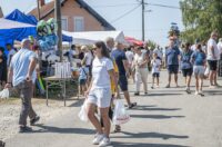 kamensko velika gospa (41) kamensko velika gospa (41)