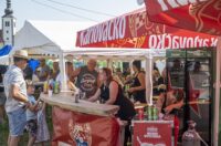 kamensko velika gospa (8) kamensko velika gospa (8)