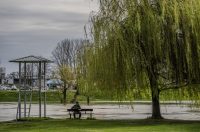 karlovackim ulicama (1)