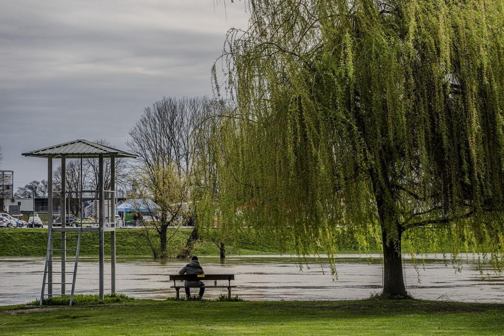 karlovackim ulicama (1)