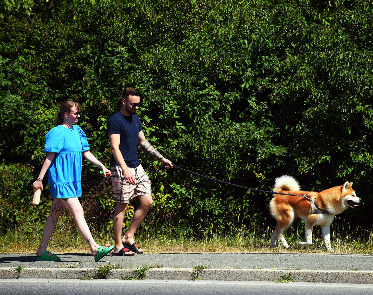 karlovackim ulicama (1)