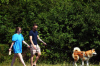 karlovackim ulicama (1)