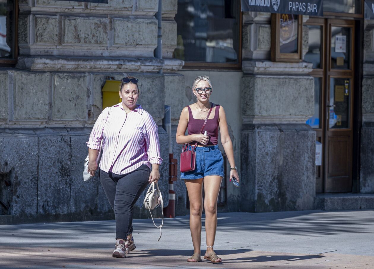 karlovackim ulicama (14)