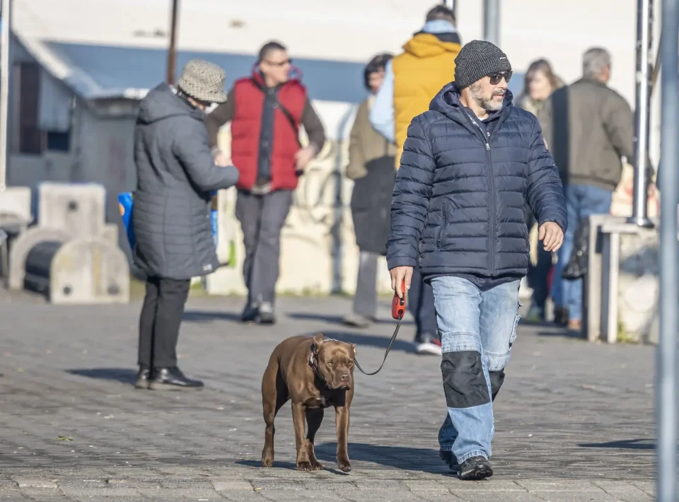 karlovackim ulicama (16)