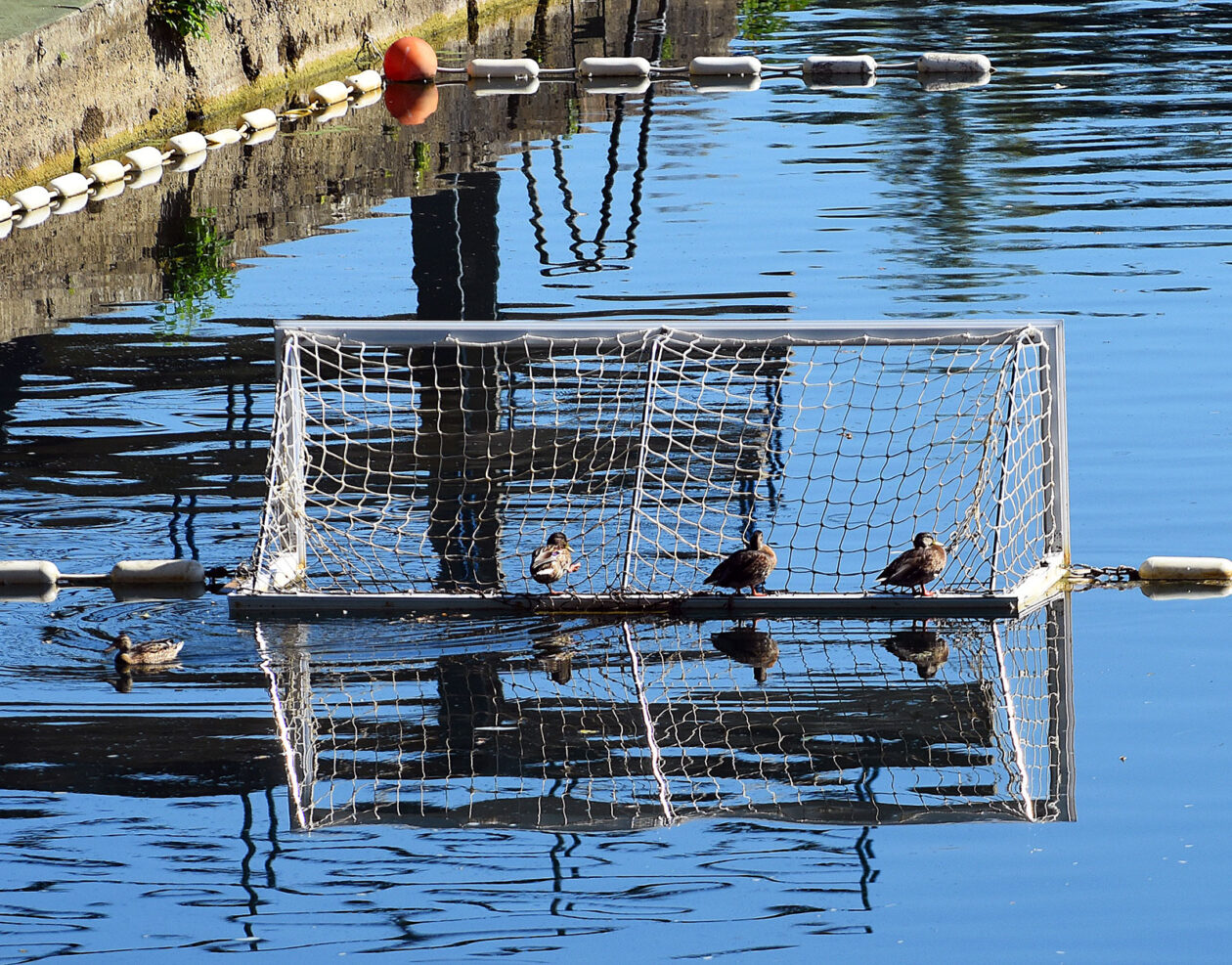 karlovackim ulicama (2)