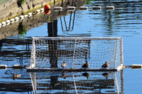 karlovackim ulicama (2)