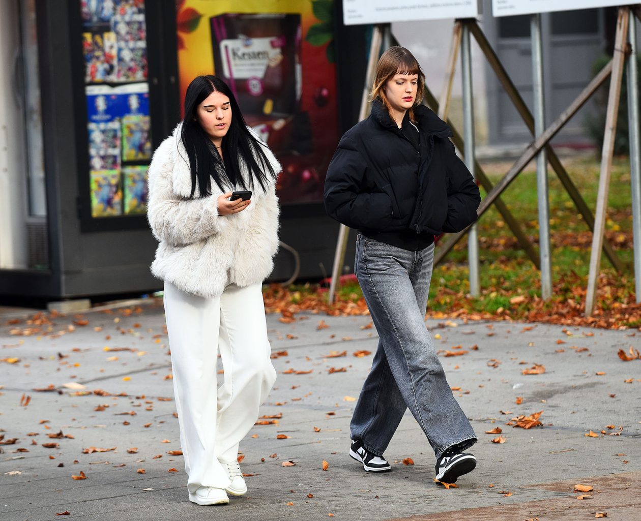 karlovackim ulicama (20)