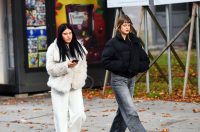 karlovackim ulicama (20)