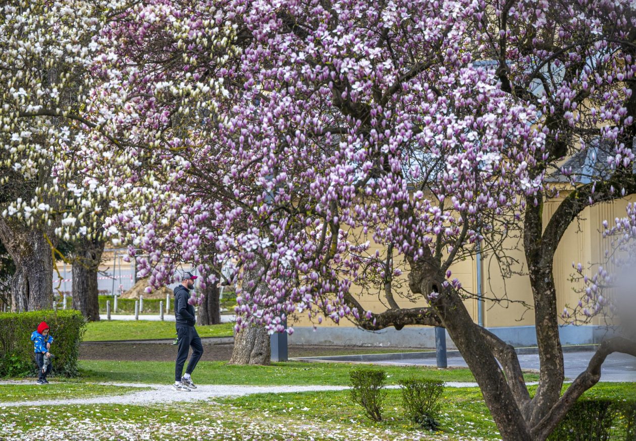 karlovackim ulicama (23)