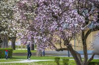 karlovackim ulicama (23)