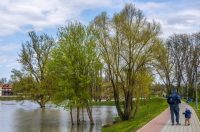 karlovackim ulicama (23)