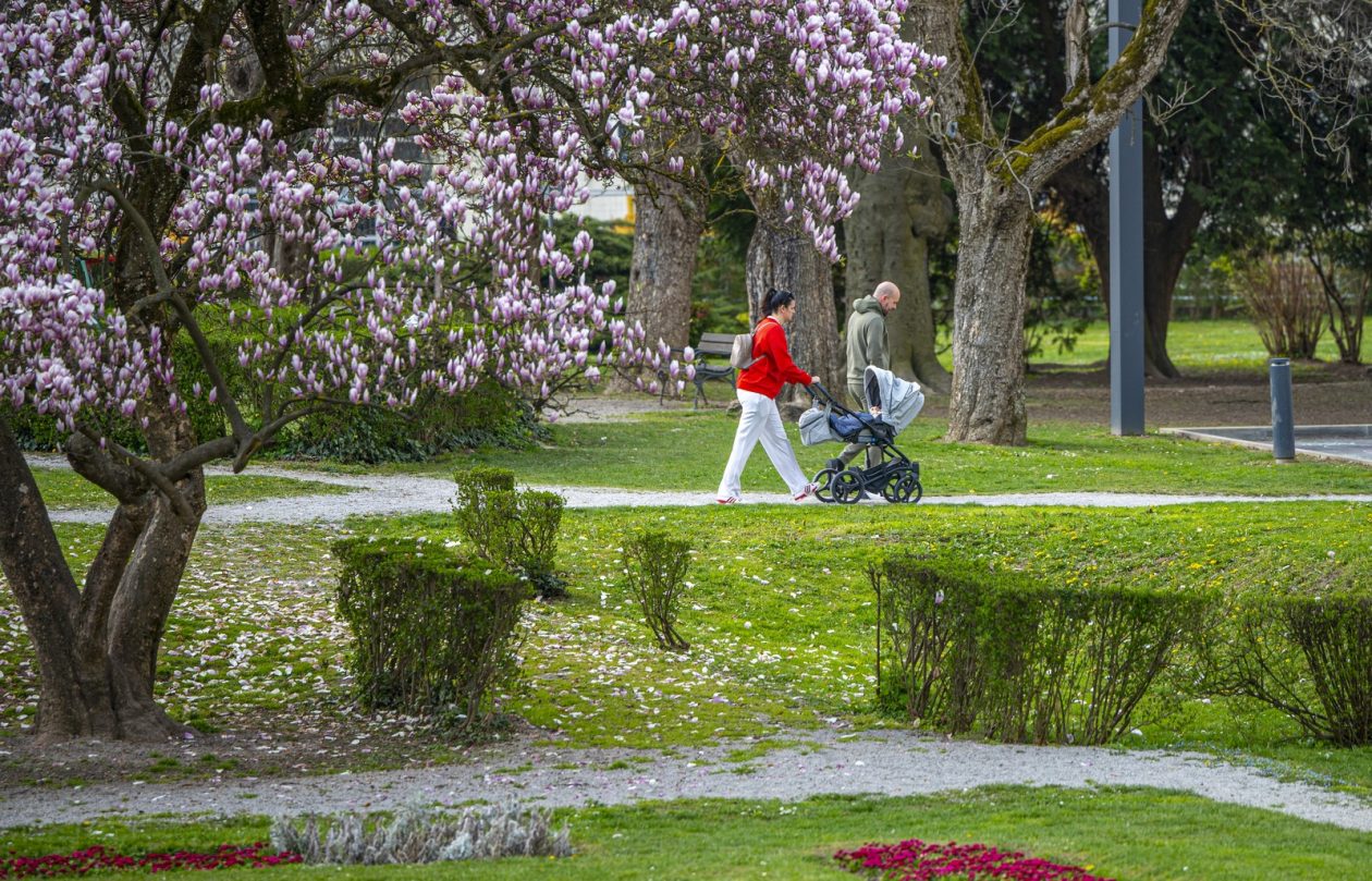 karlovackim ulicama (24)