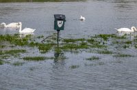 karlovackim ulicama (25)