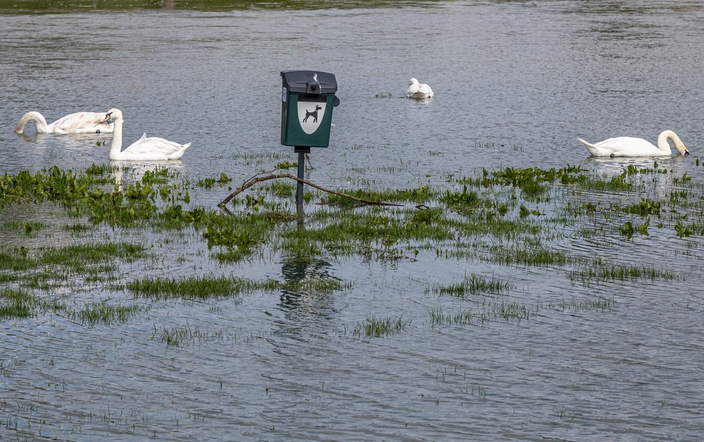 karlovackim ulicama (25)