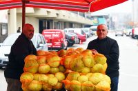 karlovackim ulicama (26)