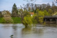 karlovackim ulicama (26)