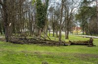 karlovackim ulicama (30)