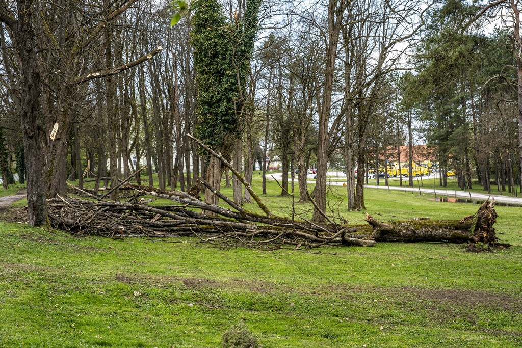 karlovackim ulicama (30)