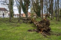 karlovackim ulicama (31)