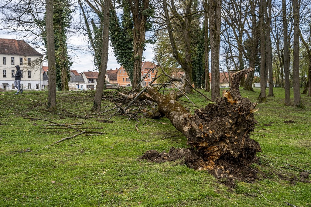 karlovackim ulicama (31)