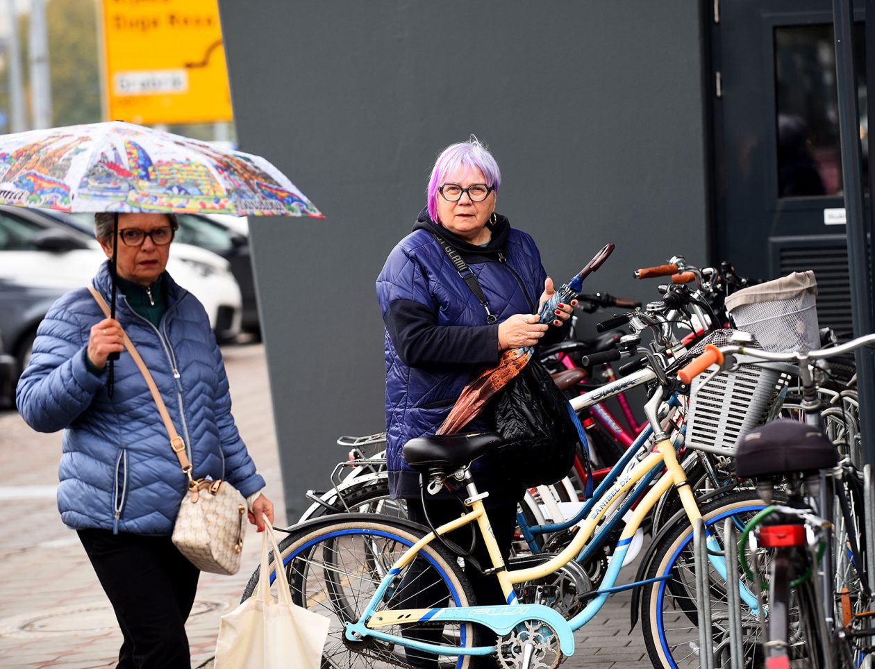 karlovackim ulicama (31)