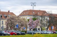 karlovackim ulicama (33)