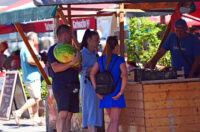 karlovackim ulicama (33)