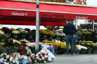 karlovackim ulicama (33)