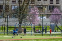 karlovackim ulicama (39)