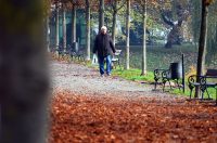 karlovackim ulicama (4)