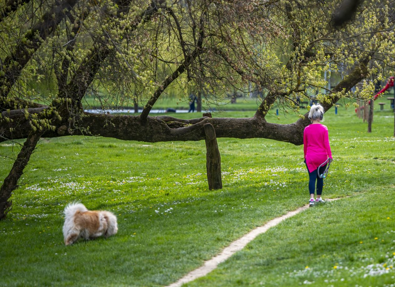 karlovackim ulicama (45)