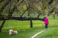 karlovackim ulicama (45)