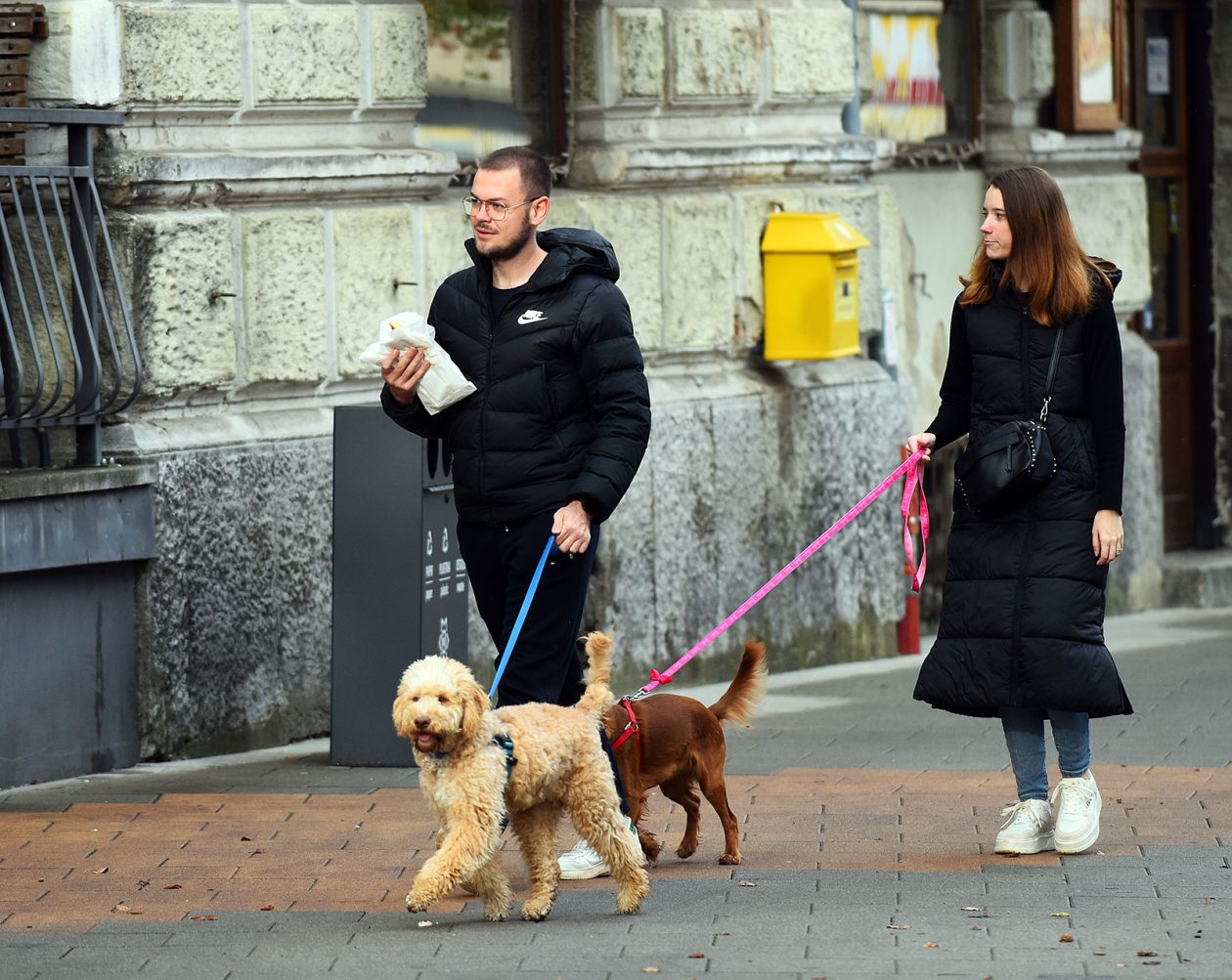 karlovackim ulicama (5)