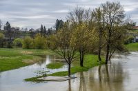 karlovackim ulicama (6)