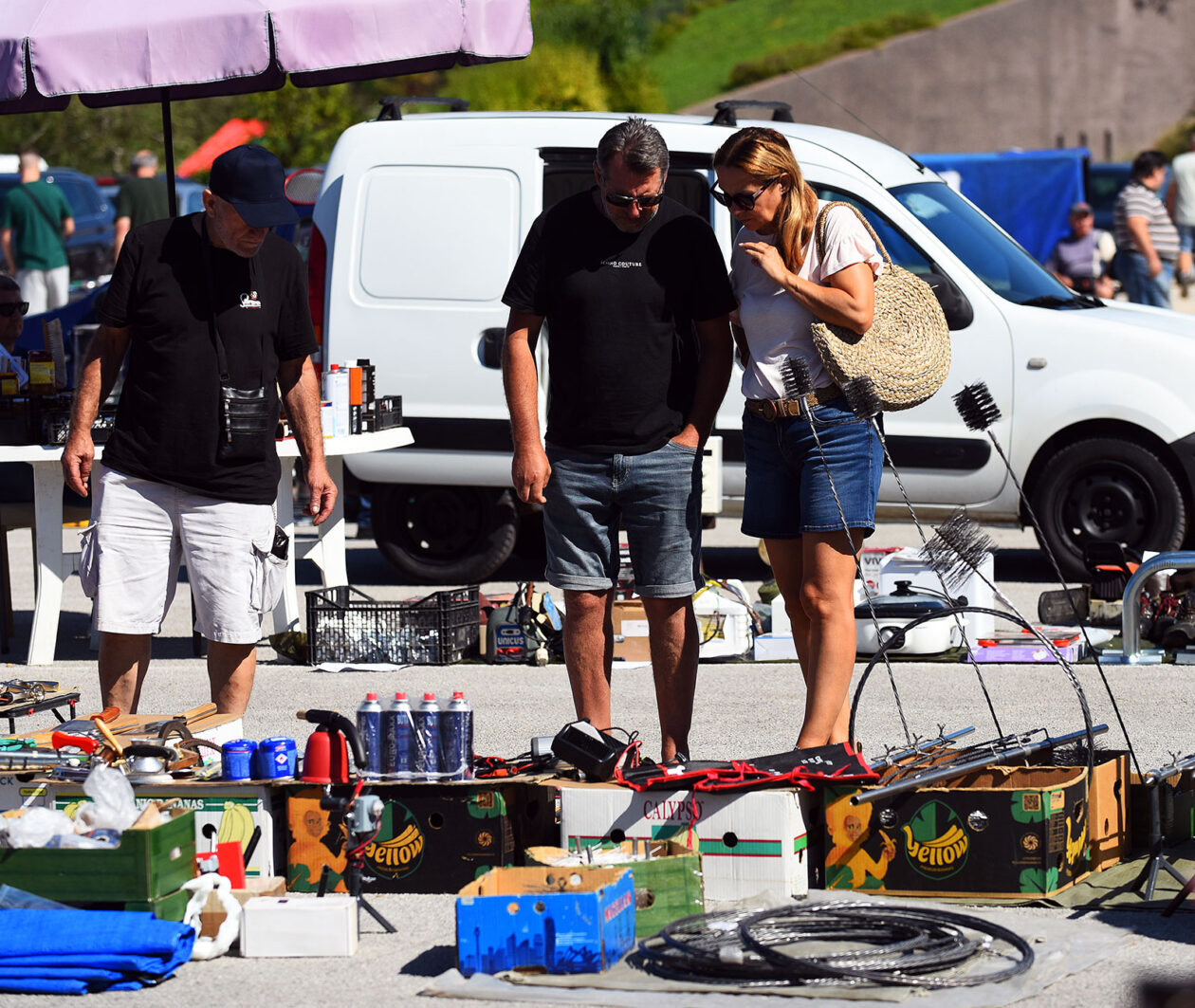 karlovackim ulicama (8)